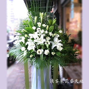 追思高架花
